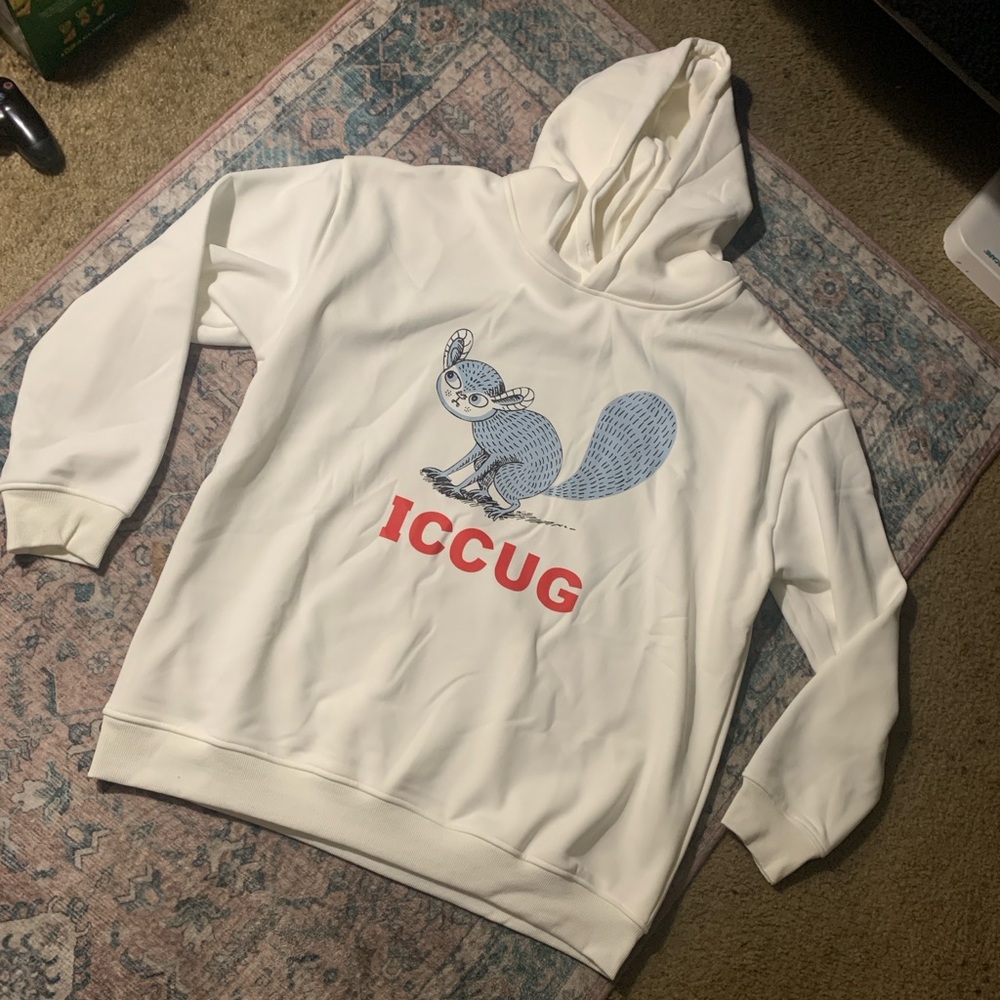 Gucci hoodie size Large Screen print